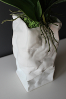 biały storczyk Design Modern White w nowoczesnej donicy wys.80cm