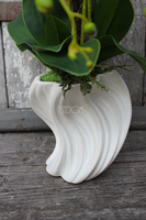 storczyk Fala w białej donicy, wys.58cm 