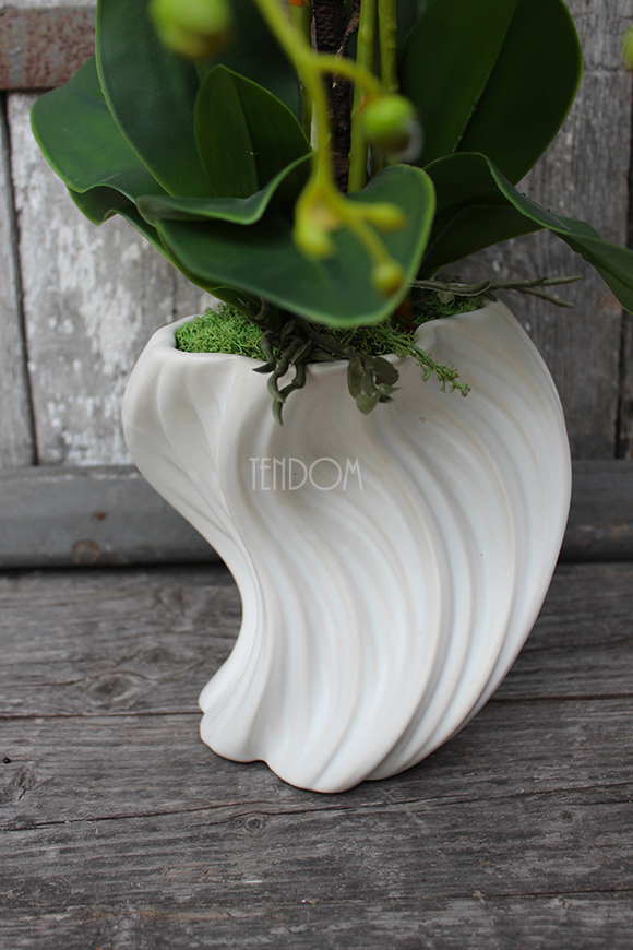 storczyk Fala w białej donicy, wys.58cm 