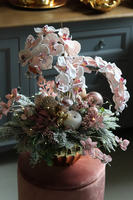 Pudrovy Glamour Winter, zimowy storczyk w złotej, eleganckiej donicy, wys.60cm