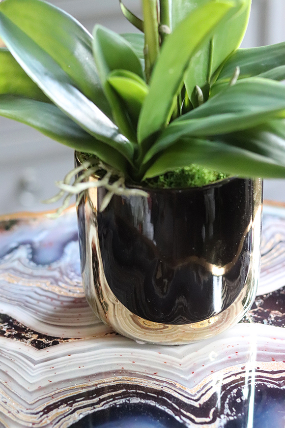 Black&Gold Extra Maxi, elegancki storczyk w ceramicznej donicy, wys.54cm