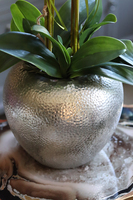 elegancki storczyk w srebrnym kulistym naczyniu, Kumari XL, wys.89cm 