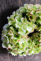 Zielona Hortensja 2 wianek na drzwi, śr.40cm