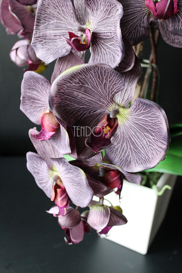 elegancki storczyk Stonowany Fiolet w szarej donicy wys.70cm