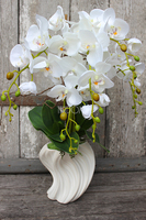 storczyk Fala w białej donicy, wys.58cm 