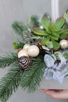 bożonarodzeniowy stroik / kompozycja Sukulent, wys.35x25cm