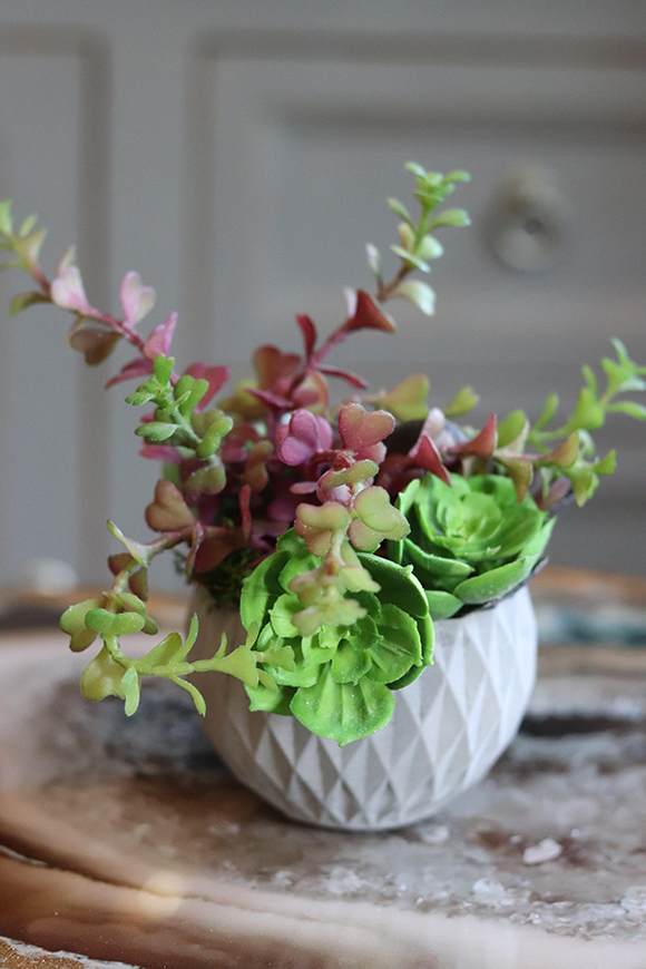 efektowna kompozycja sukulenty, Minimal, wys.12cm