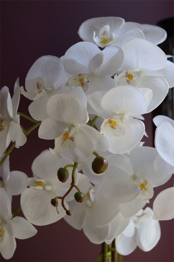 elegancki storczyk w srebrnym kulistym naczyniu, Kumari, wys.72cm 