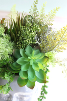 efektowna kompozycja sukulenty, Pstro w Głowie 2, wys.30cm