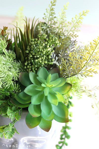 efektowna kompozycja sukulenty, Pstro w Głowie 2, wys.30cm