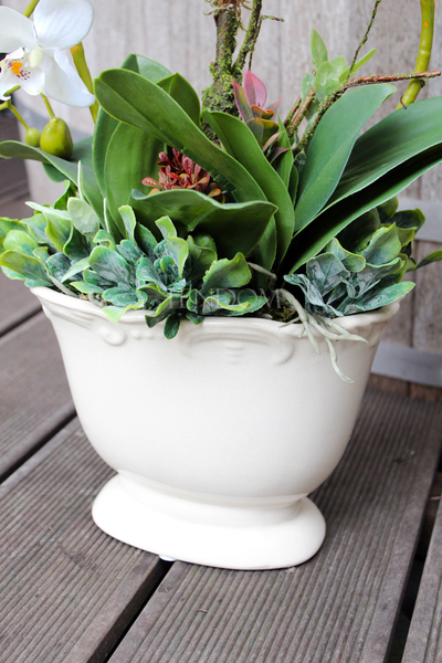 sztuczny storczyk Bellona w kolorze naturalnej bieli, wys.55cm