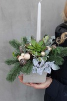 bożonarodzeniowy stroik / kompozycja Sukulent, wys.35x25cm