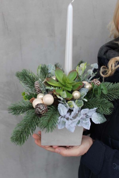 bożonarodzeniowy stroik / kompozycja Sukulent, wys.35x25cm