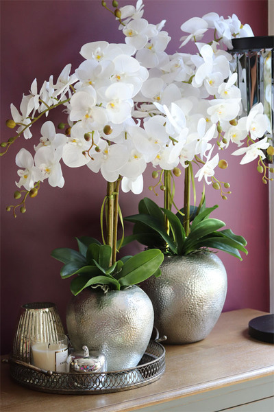 elegancki storczyk w srebrnym kulistym naczyniu, Kumari, wys.72cm 