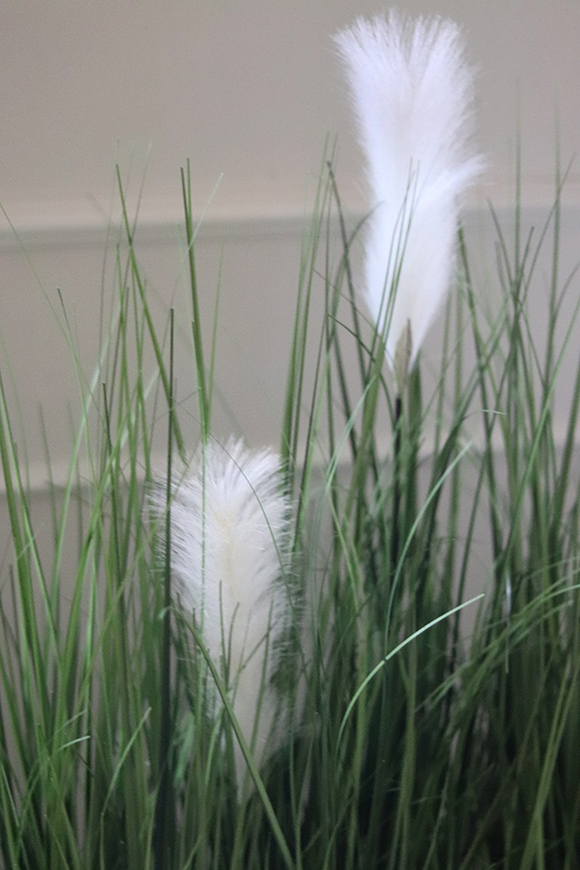 Ecolite Regana, trawy z kłosami w donicy, wys.120cm