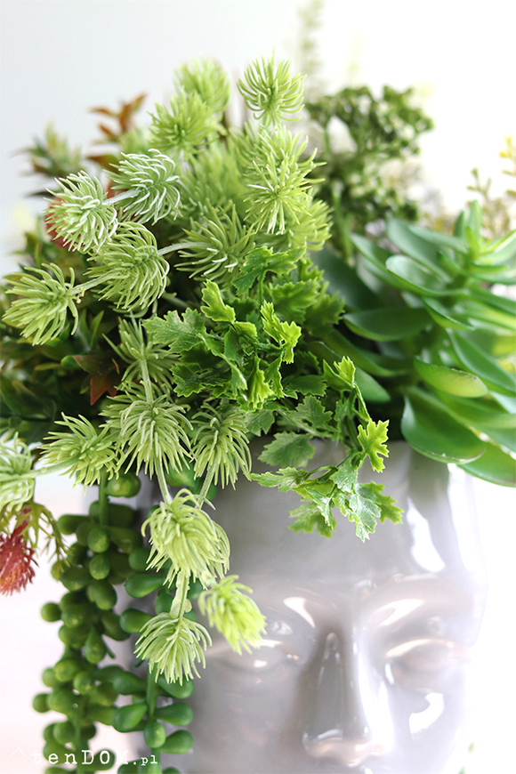 efektowna kompozycja sukulenty, Pstro w Głowie 2, wys.30cm