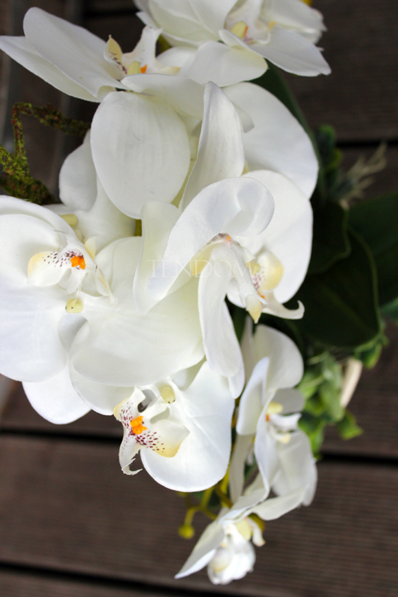 sztuczny storczyk Bellona w kolorze naturalnej bieli, wys.55cm