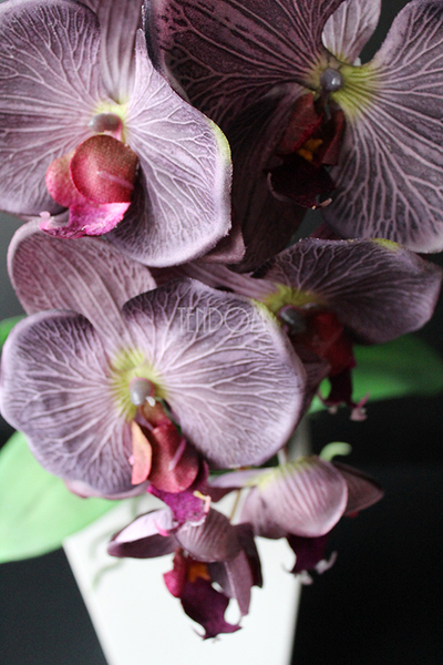 elegancki storczyk Stonowany Fiolet w szarej donicy wys.70cm