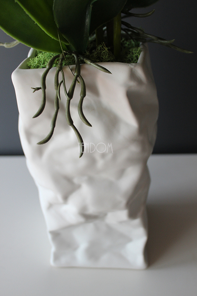 biały storczyk Design Modern White w nowoczesnej donicy wys.80cm