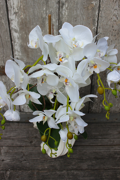 storczyk Fala w białej donicy, wys.58cm 