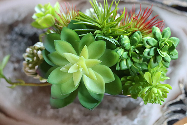 Kalino Silver, mini kompozycja sukulenty, wys.16cm