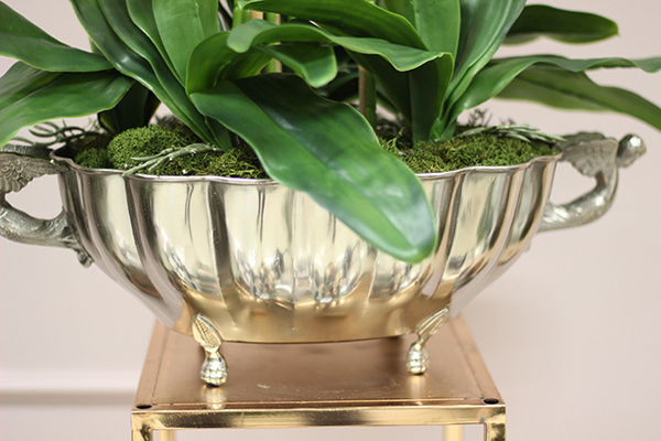 ekskluzywny storczyk Luksus Ecru w metalowej donicy, wys.65cm