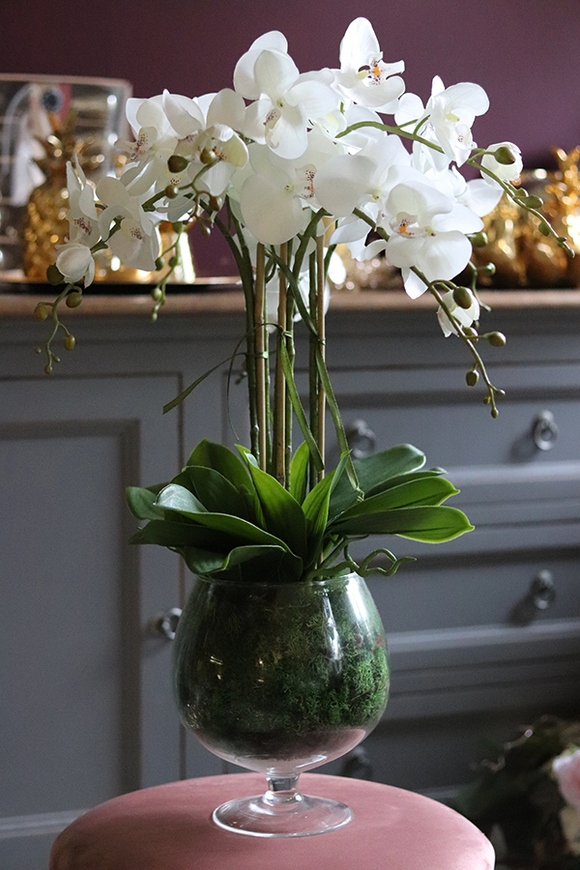 storczyk w szklanym kielichu, Glassier Orchid, wys.68cm