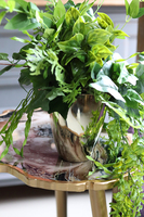 Govena, zielona kompozycja w złotej donicy, dł.74cm