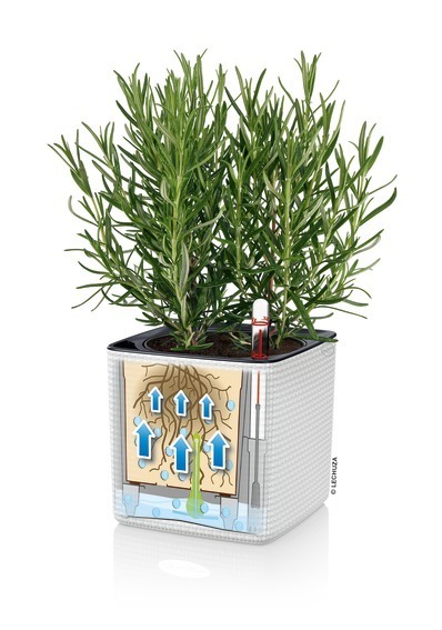 Cube, elegancka donica z nawadnianiem, szara, wym.14x14cm