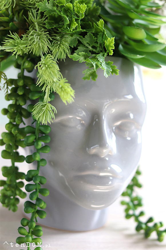 efektowna kompozycja sukulenty, Pstro w Głowie 2, wys.30cm