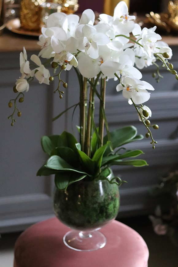 storczyk w szklanym kielichu, Glassier Orchid, wys.68cm