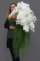 Mediolan Bianco Saute, storczyk w okrągłym wkładzie do donicy, wys.100cm 