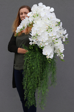 Mediolan Bianco Saute, storczyk w okrągłym wkładzie do donicy, wys.100cm 