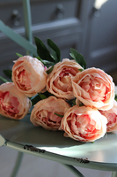 Bella Italia, bukiet różowych peoni, 7szt. dł.42cm