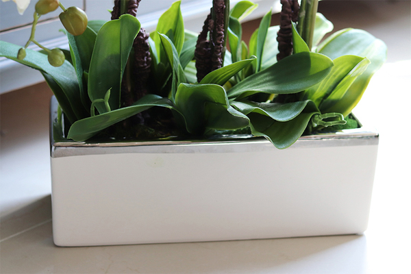 Bossa Primo, storczyk w biało-srebrnej donicy, wys.57cm 