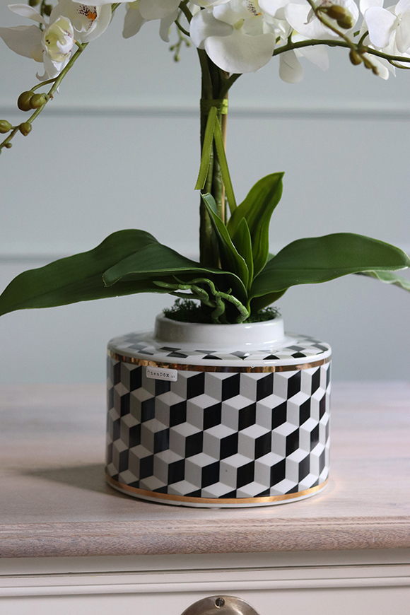 Gatsby, efektowny storczyk w porcelanowym naczyniu, wys.68cm 