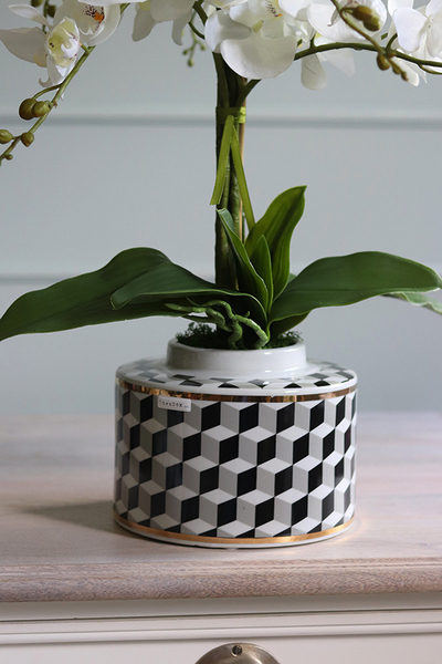 Gatsby, efektowny storczyk w porcelanowym naczyniu, wys.68cm 