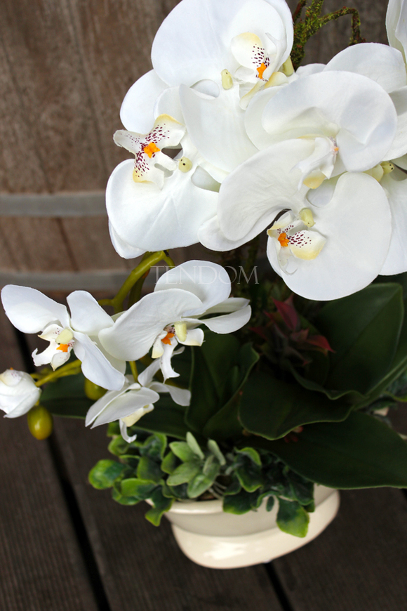 sztuczny storczyk Bellona w kolorze naturalnej bieli, wys.55cm