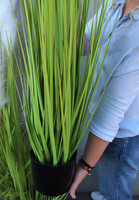 Bello sztuczna trawa w osłonce, wys.120cm