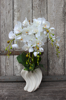 storczyk Fala w białej donicy, wys.58cm 