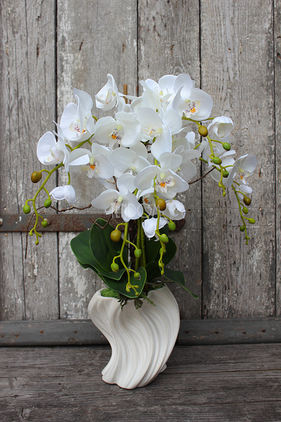 storczyk Fala w białej donicy, wys.58cm 