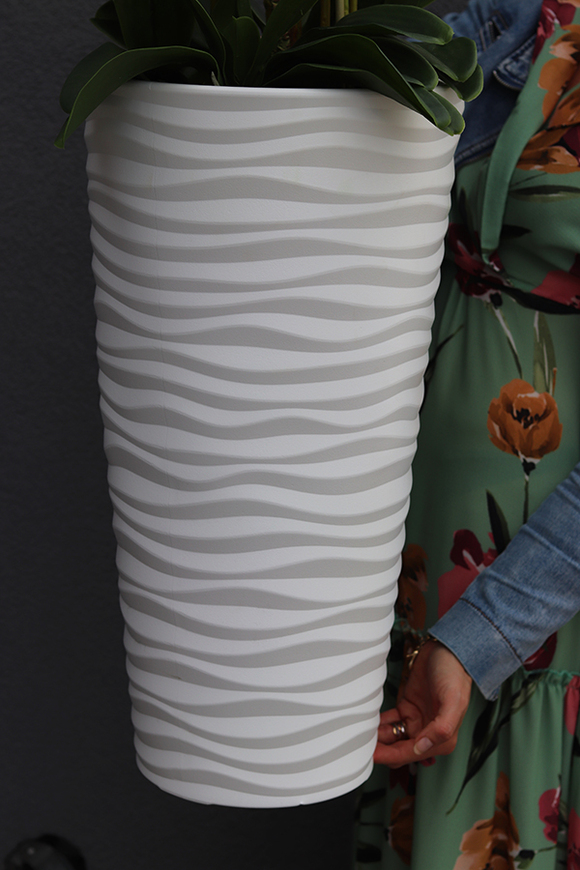 duży storczyk Mediolan Modern z korzeniem, wys.118cm