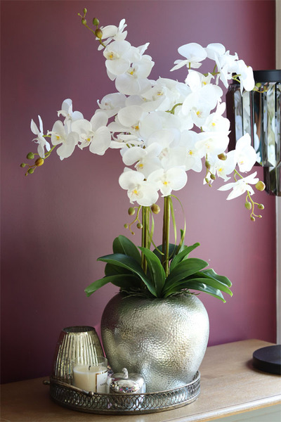 elegancki storczyk w srebrnym kulistym naczyniu, Kumari XL, wys.89cm 