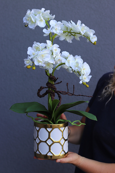 Goldenito Gostlik, storczyk w biało-złotym naczyniu, wys.52cm