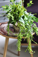 Govena, zielona kompozycja w złotej donicy, dł.74cm