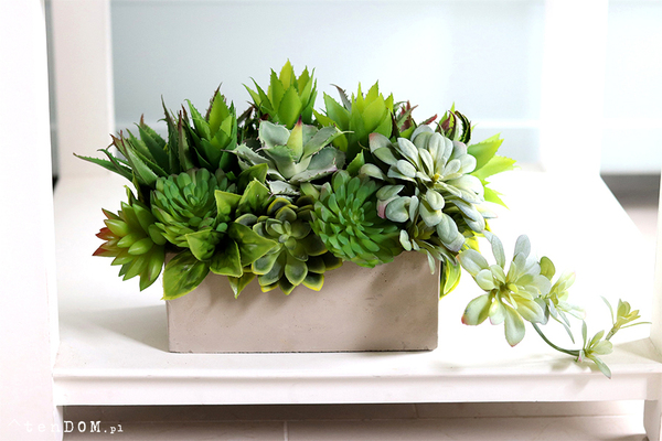 Batoneo, kompozycja ze sztucznych sukulentów w betonowej donicy, wys.22cm