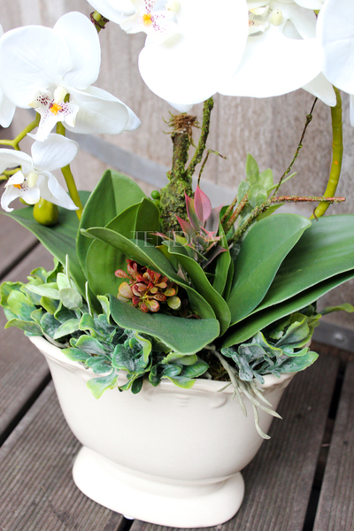 sztuczny storczyk Bellona w kolorze naturalnej bieli, wys.55cm