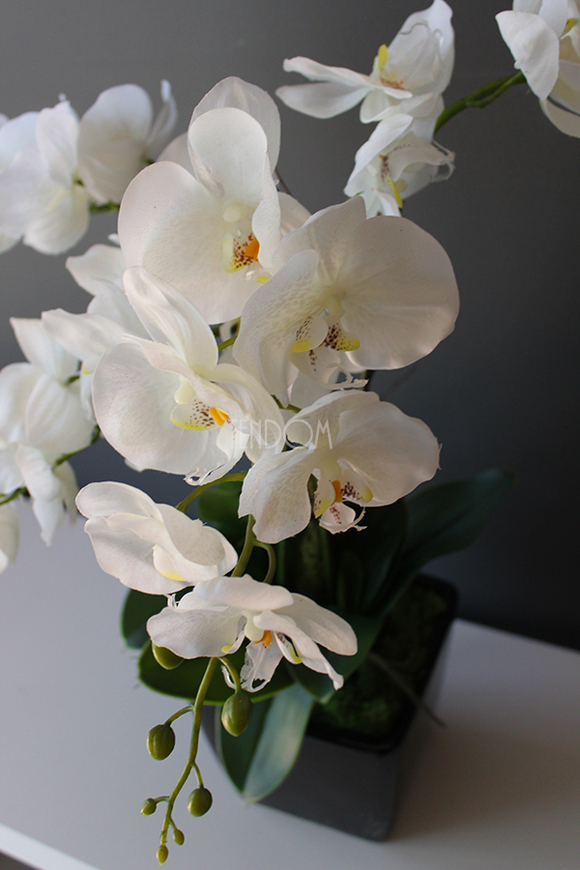 storczyk sztuczny gumowy w czarnej donicy Blackie, wys.65cm