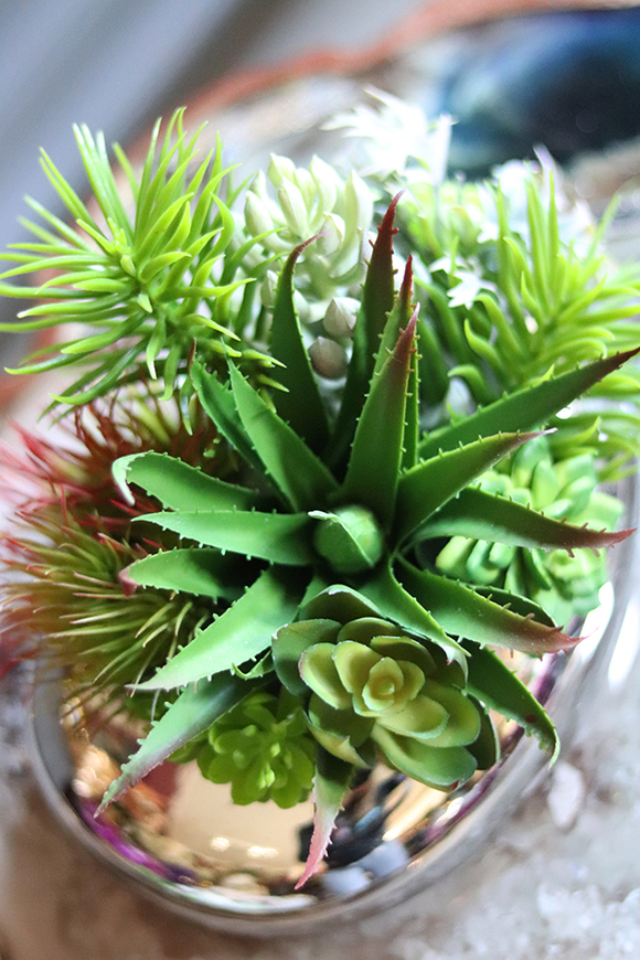 Revona Silver, mini kompozycja sukulenty, wys.15cm