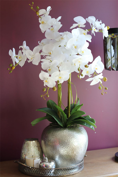 elegancki storczyk w srebrnym kulistym naczyniu, Kumari XL, wys.89cm 